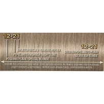 BOJA PALETTE 12-21 SREBRENO PEPELJASTO PLAVA AWT