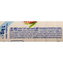 JOGURT B.AKTIV LGG JAGODA 1kg DUKAT