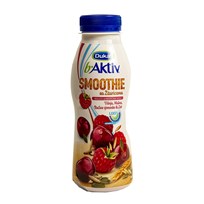 JOGURT B.AKTIV LGG SMOOTHIE ZOB BUNDEVA 330g DUKAT