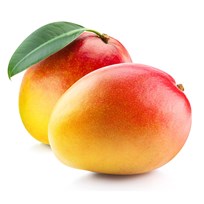 MANGO KL.II/NTL/253586/