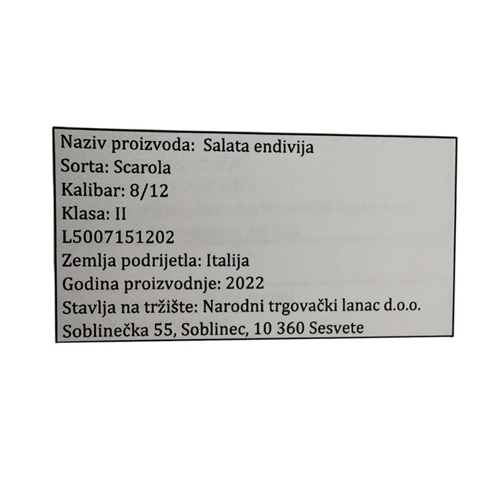 SALATA ENDIVIJA/NTL/247356/