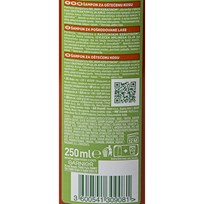 ŠAMPON FRUCTIS GOODYBE DANAGE 250ml