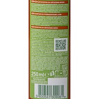 ŠAMPON FRUCTIS GOODYBE DANAGE 250ml